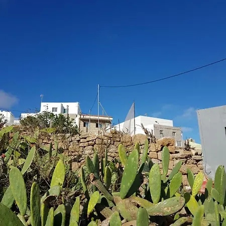 度假居 Casa Tipica Canaria Arico Viejo